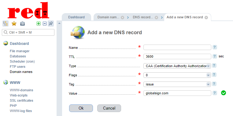 redIT Control Panel Add DNS record