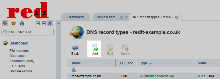 redIT Control Panel Add DNS Record