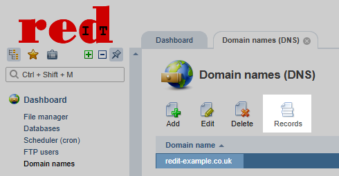redIT Control Panel Domain Records