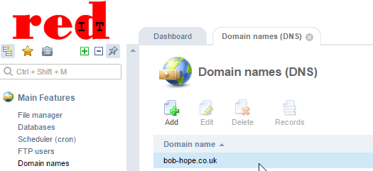 redIT Hosting Domain Name DNS